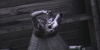 dptdc_screenshot_13