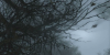 vlcsnap-2011-09-17-01h15m55s198