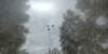 vlcsnap-2011-09-17-01h18m20s102