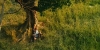 snapshot20090630225103