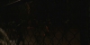 snapshot20090630232248