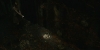 snapshot20090703112701