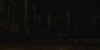 snapshot20090703113050
