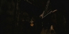 snapshot20090703123542