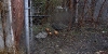 silenthillset24040505