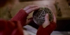 vlcsnap-2012-07-28-14h06m28s172