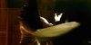 vlcsnap-2012-07-28-14h38m39s24