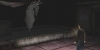 moth